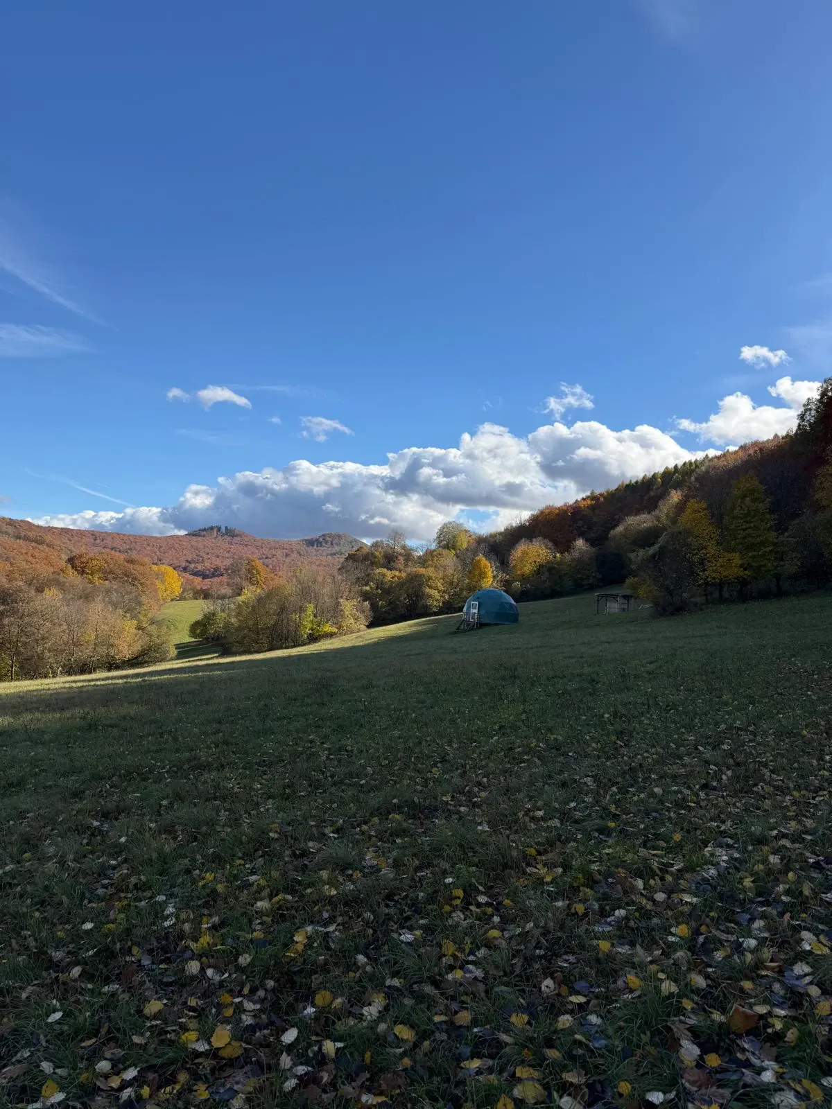 Glamping photo 20